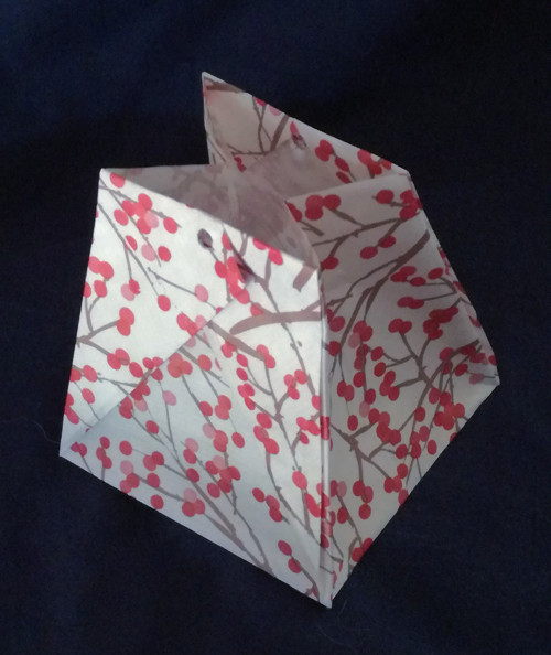 Dárkový box/taška - bobule - střední