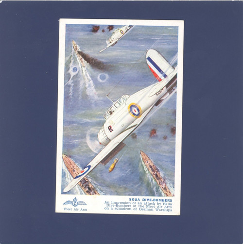 Letadlo Skua Dive-Bombers - pohlednice — foto 1