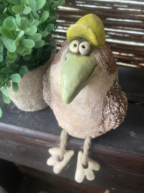 Jarní ptáček — foto 1