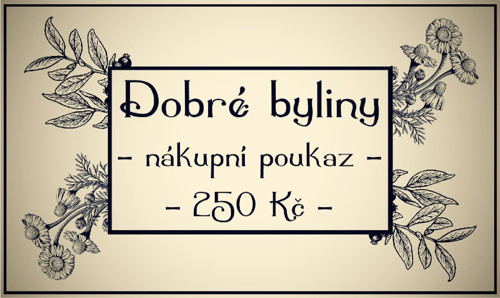 Nákupní poukaz v hodnotě 250 Kč — foto 1