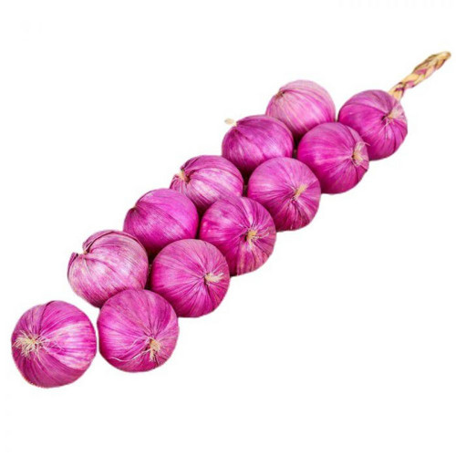 Fiktivní "cibule" 12 cibulí, mix