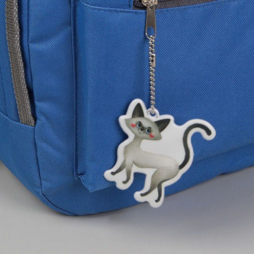 2 ks, reflexní prvek "Cat", 6 × 8 cm, šedá — foto 1