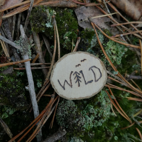 Magnetka s nápisem wild — foto 1
