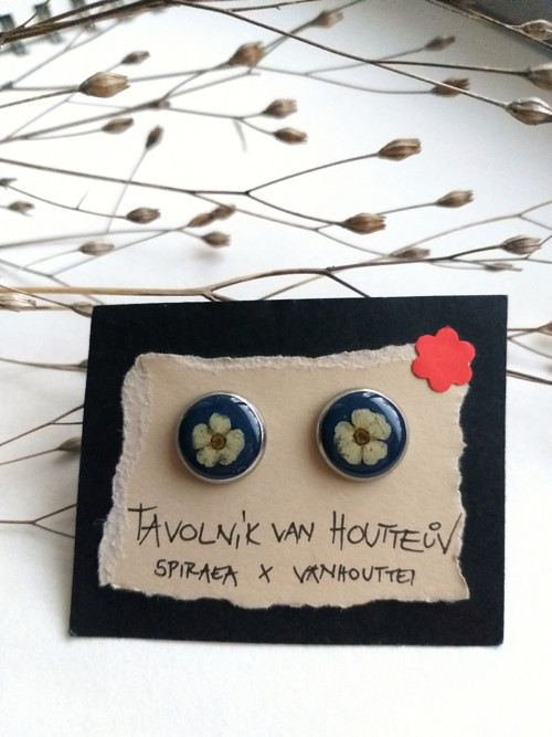 Náušnice s tavolníky — foto 1