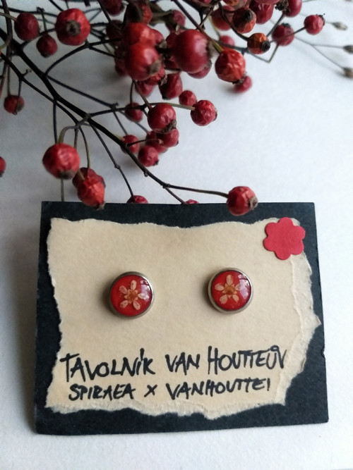 Náušnice s tavolníky — foto 1