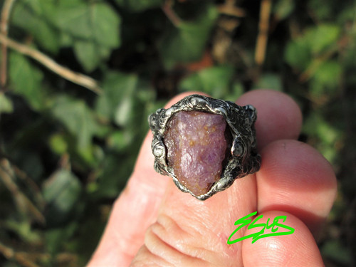 Prsten ,, Evoluce " — foto 1