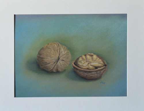 Originál suchý pastel- Ořech vlašský - 40x30 cm