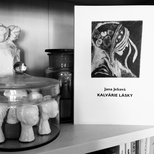 Kalvárie lásky