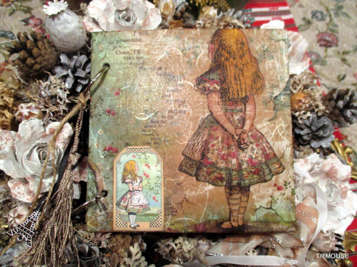 Alenka v říši divů - scrapbookový zápisník — foto 1