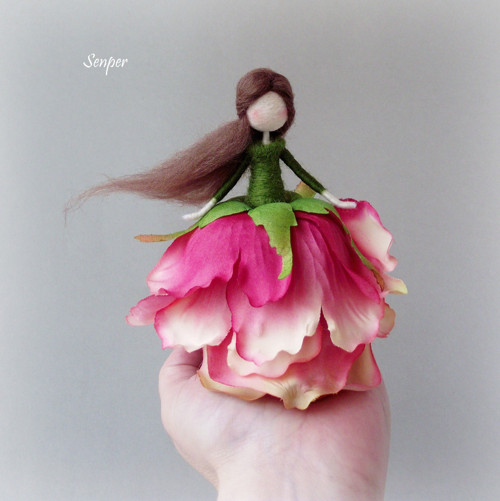 Růžička — foto 1