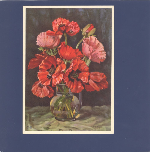 Kytice - pohlednice
