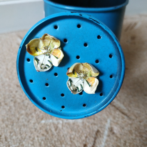 Citron se zázvorem — foto 1
