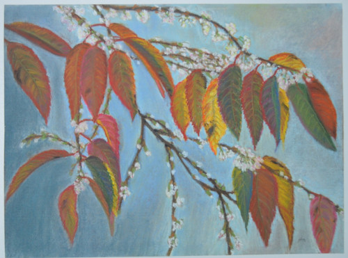 Originál suchý pastel-Podzimní kvetení - 40x30 cm