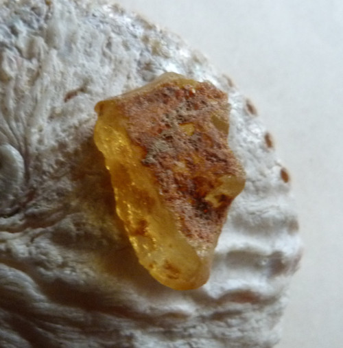 Jantar surový - Kopál - 4,3 cm — foto 1