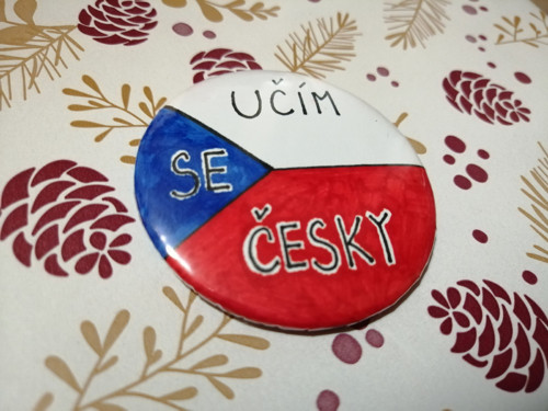 Magnet Učím se česky