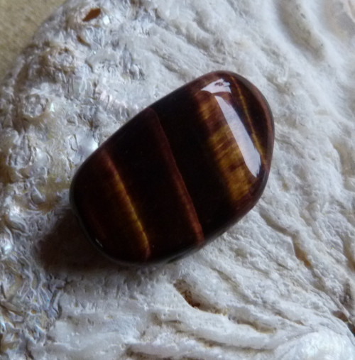 Býčí oko - 3,1 cm - Extra