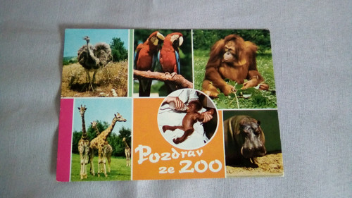 !!Sleva!! Pozdrav ze ZOO.......pohlednice