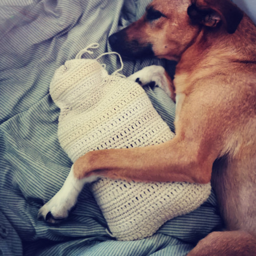 Háčkovaný Obal Na Termofor — foto 1