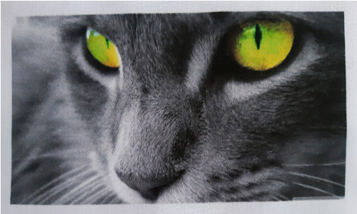 Bavlněný panel 8x15 cm