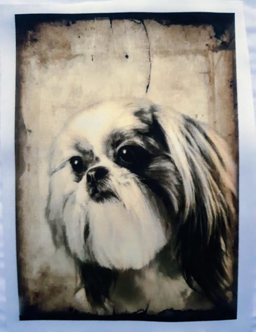 Bavlněný panel 14x20 cm