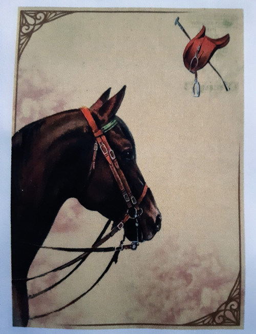 Bavlněný panel 14x20 cm