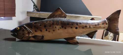 Pstruh, 56 cm, interiér