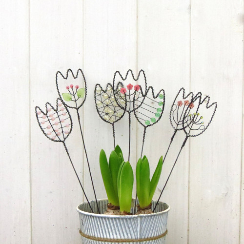 Tulipány pro radost - 4 ks — foto 1