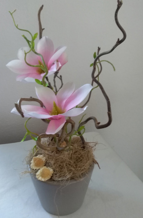 Jarní růžová — foto 1