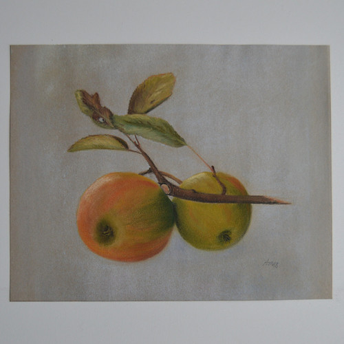 Originál suchý pastel- Jablíčka - 30 x 24 cm