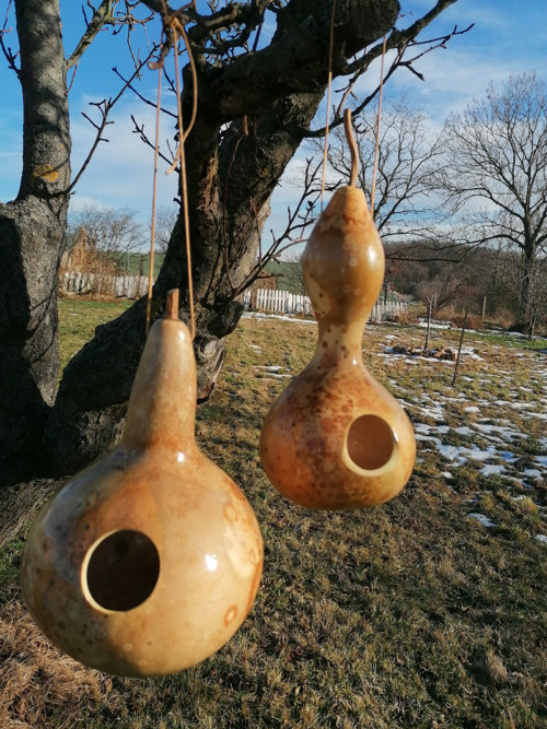 Budka z tykve III. — foto 1