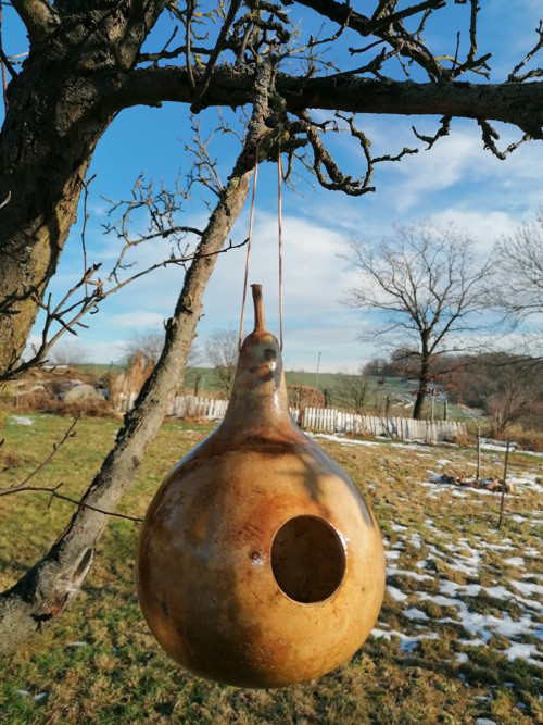 Budka z tykve IV. — foto 1
