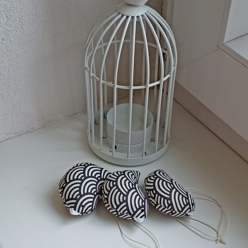 Ptáček čerňásek — foto 1