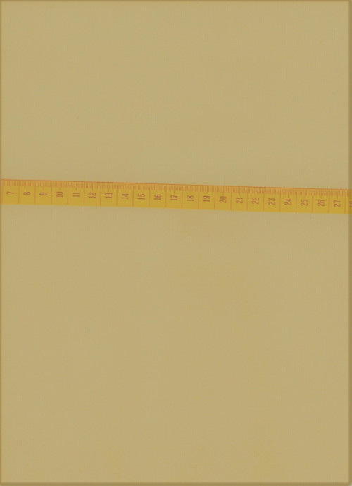 MANŠESTR - JEMNÝ - BÉŽOVÝ - PANEL — foto 1
