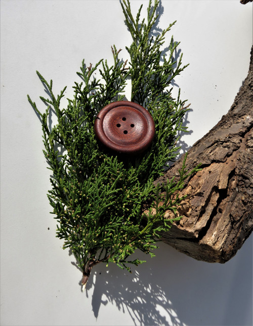 7. Knoflík malý pro štěstí – magnetka