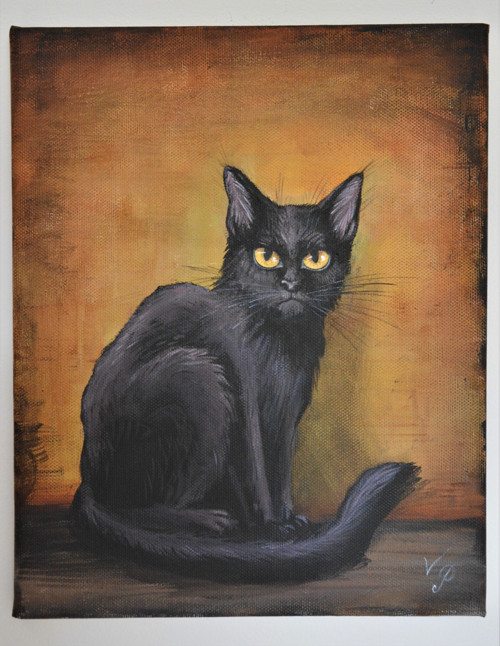 Chat noir — foto 1