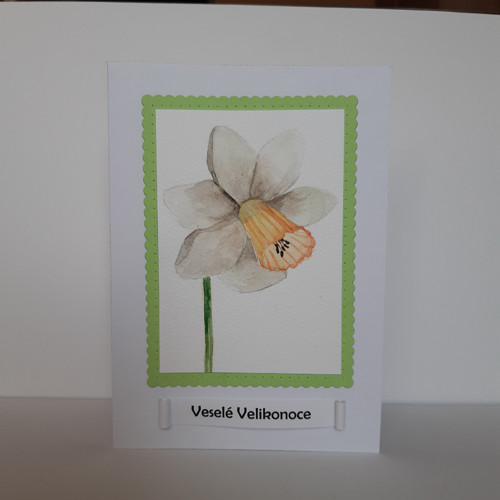 Narcis — foto 1