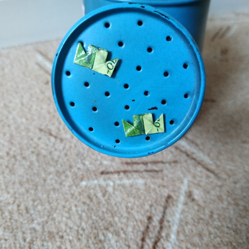 Zelinkavé parníčky — foto 1