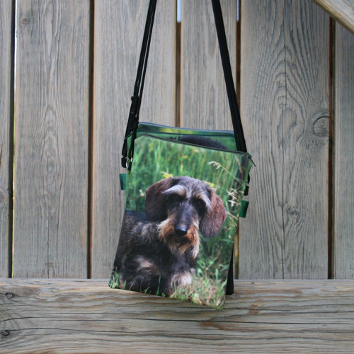 MINI MESSENGER Drsnosrstý jezevčík — foto 1