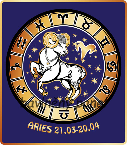 Bavlněný panel DR 565