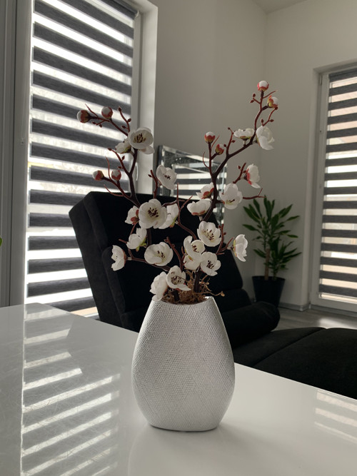 Sakura — foto 1