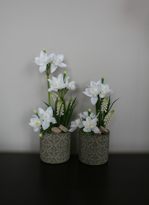 Betonové obaly s narciskami — foto 1