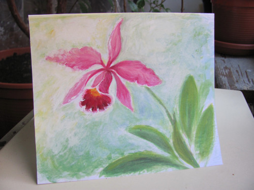 Orchidej Cattleya, přání