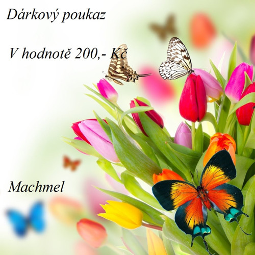 Nákupní poukaz 200 Kč u prodejce Machmel