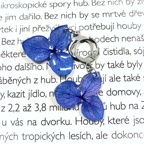 Náušnice z hortenzie — foto 1