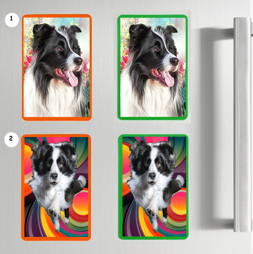 Border Kolie Magnet Na Lednici