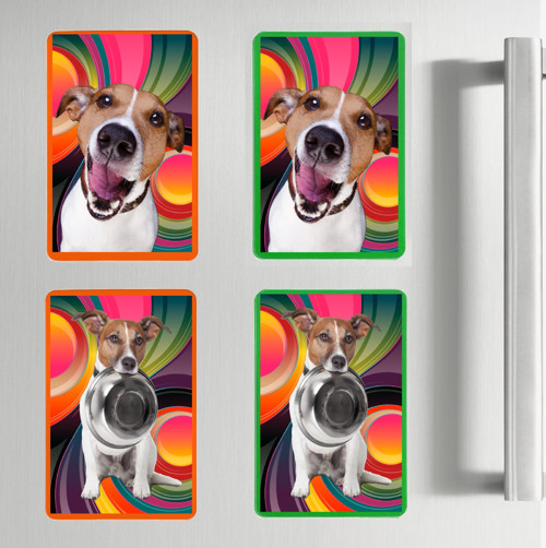 Jack Russellteriér Magnet Na Lednici