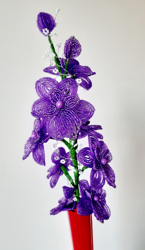 Orchidea — foto 1