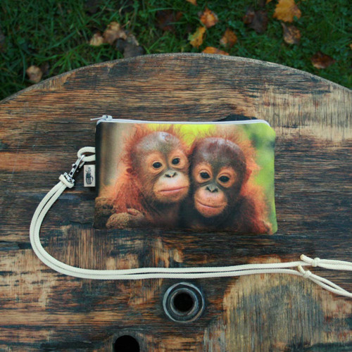 NA ELEKTRONIKU (M) Orangutánci — foto 1