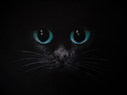Oči kočičí, 30x40 — foto 1