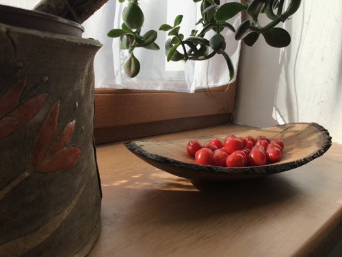 Třešňová mísa — foto 1
